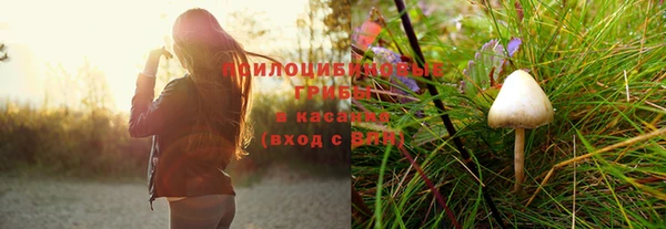 трава Армянск